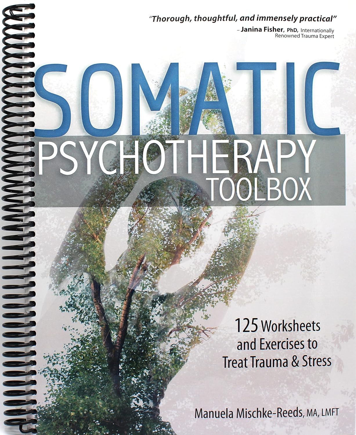 Somatic Psychotherapy Toolbox: 125 Worksheets and Exercises for Trauma & Stress