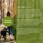 Rooted Owl® Suplemento Hepático para Perros - Cardo Mariano - 60 Cápsulas Veganas