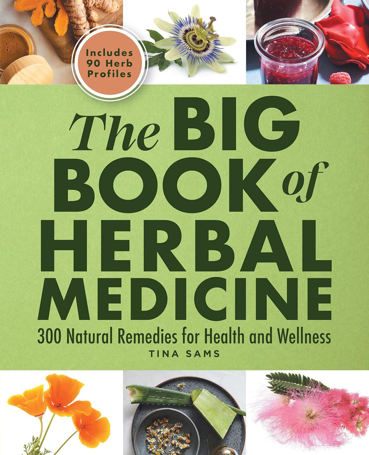 The Big Book of Herbal Medicine: 300 Natural Remedies for Health and Wellness [Spiral-bound] Tina Sams
