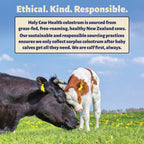 Holy Cow Health Cápsulas de Calostro Puro, Sin Diluir, Altamente Bioactivo - Origen Ético Nueva Zelanda - Apoya Salud Intestinal, Inmunidad y Bienestar