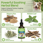 Pet Wellbeing Throat Gold para Perros – Fórmula Líquida con Gordolobo y Olmo Resbaladizo – 60 ml