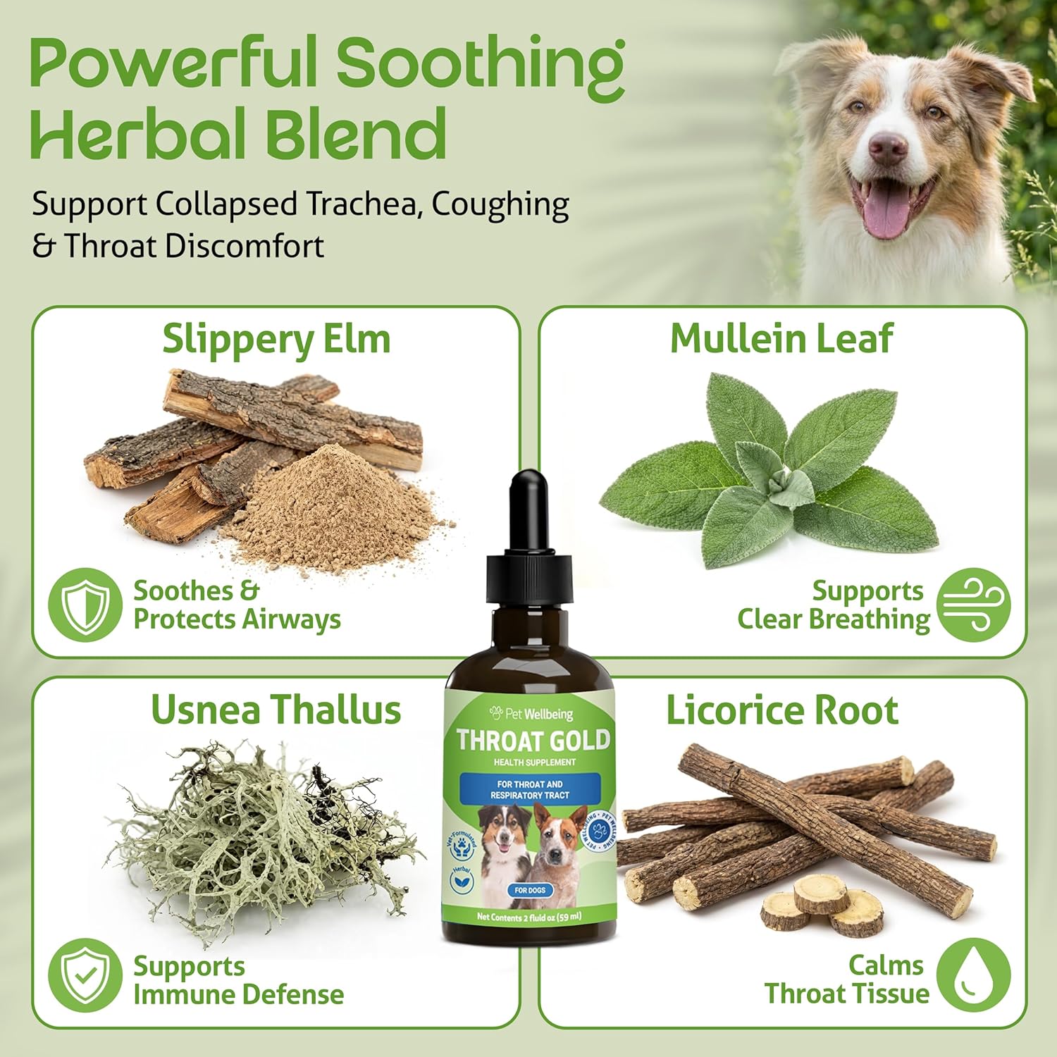Pet Wellbeing Throat Gold para Perros – Fórmula Líquida con Gordolobo y Olmo Resbaladizo – 60 ml