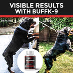 True Champ 2.0 Suplemento para el desarrollo muscular en perros, Cápsulas de apoyo al bienestar canino para todas las razas (30 Cápsulas vegetales)