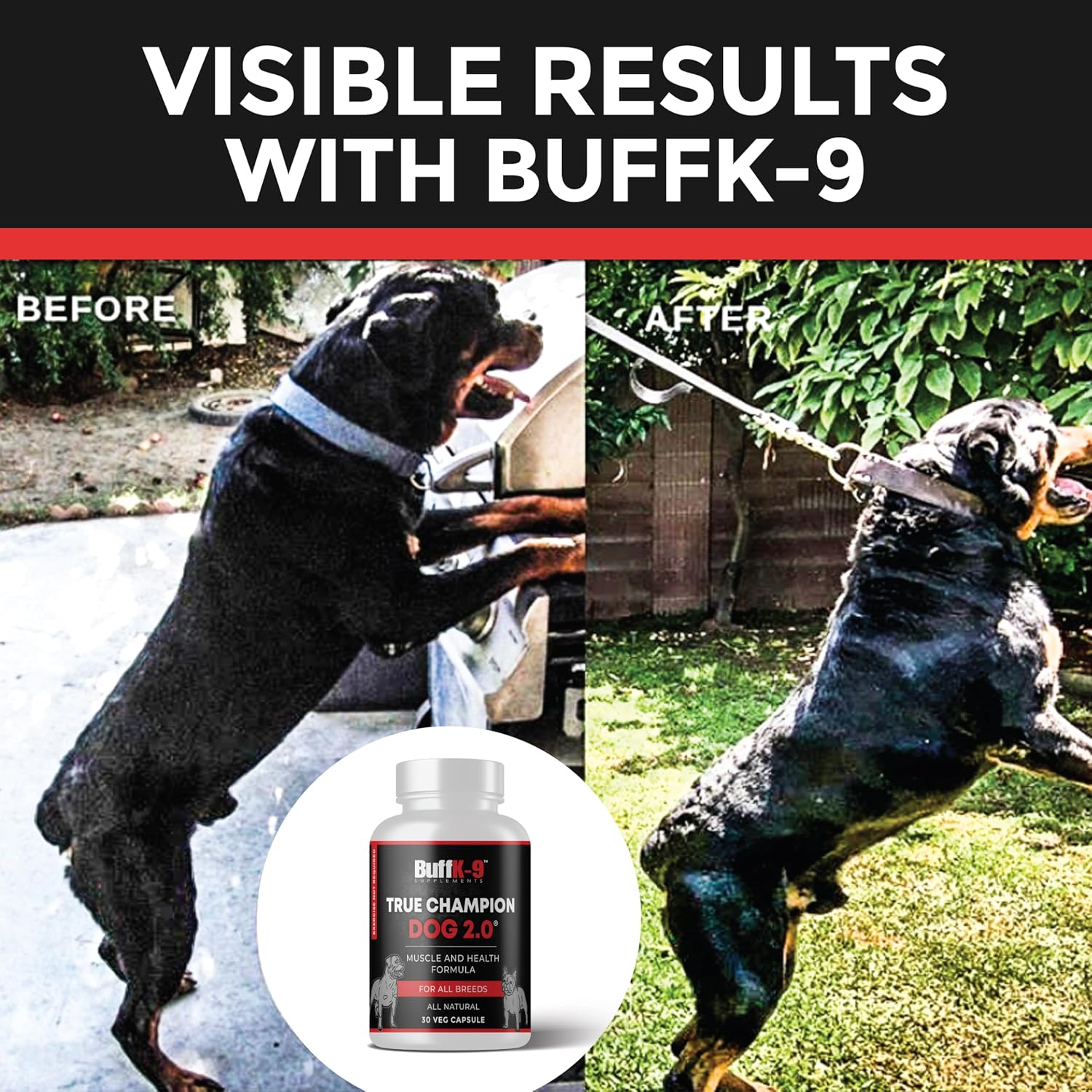 True Champ 2.0 Suplemento para el desarrollo muscular en perros, Cápsulas de apoyo al bienestar canino para todas las razas (30 Cápsulas vegetales)