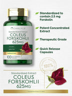 Carlyle Coleus Forskohlii Cápsulas - 100 Unidades | Extracto Estandarizado de Forskolina | Sin Gluten y No-GMO