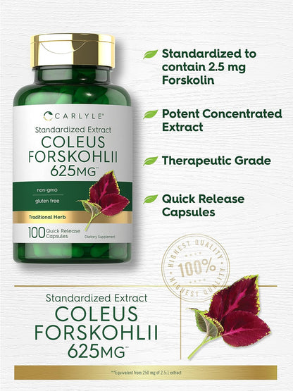 Carlyle Coleus Forskohlii Cápsulas - 100 Unidades | Extracto Estandarizado de Forskolina | Sin Gluten y No-GMO – Image 3