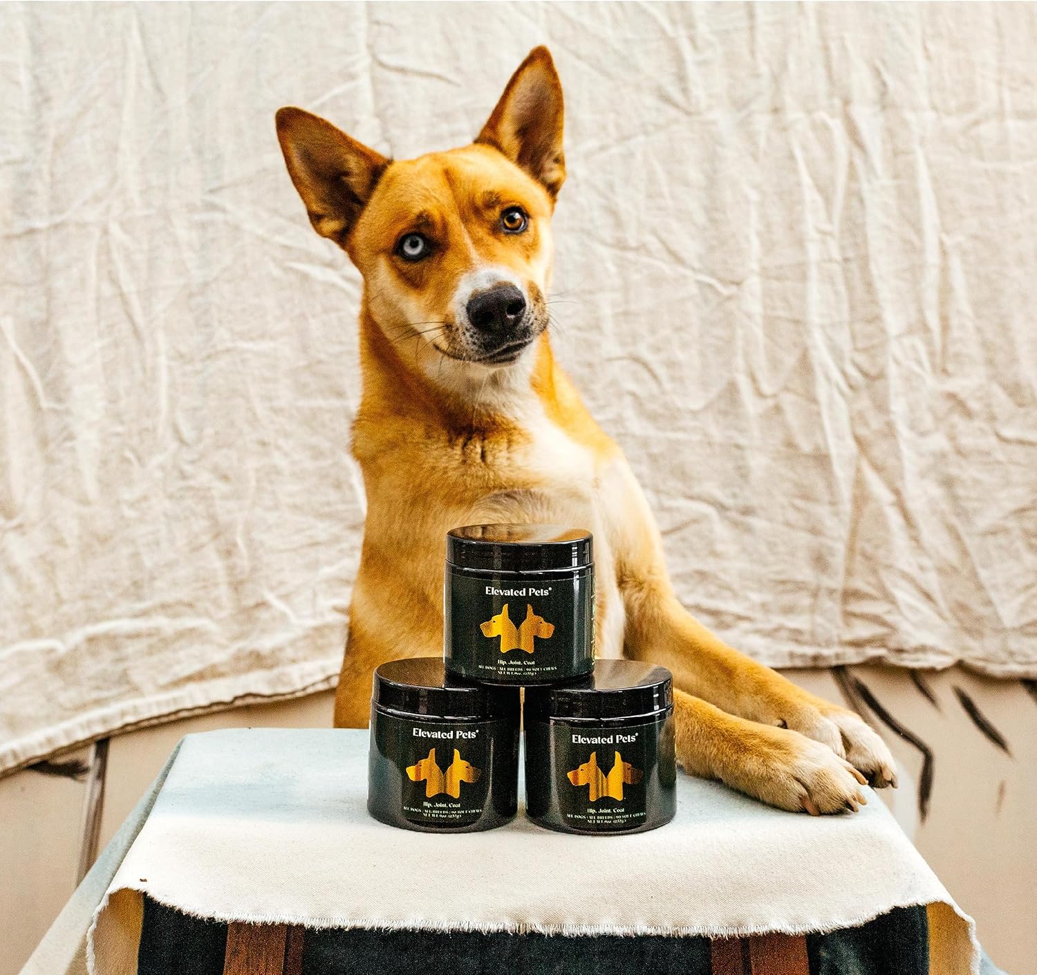 Elevated Pets: Gominolas omega 3, glucosamina y condroitina para perros