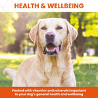 Vetzyme Conditioning Tablets 240 Comprimidos