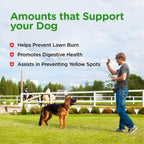 Nutri-Vet Grass Guard Masticables para Perros - Neutralizador de Orina y Apoyo Digestivo, 150 Comprimidos