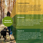 Rooted Owl Urinary Support para Perros - Suplemento con Arándano Rojo, Equinácea y Vitamina C - 60 Cápsulas