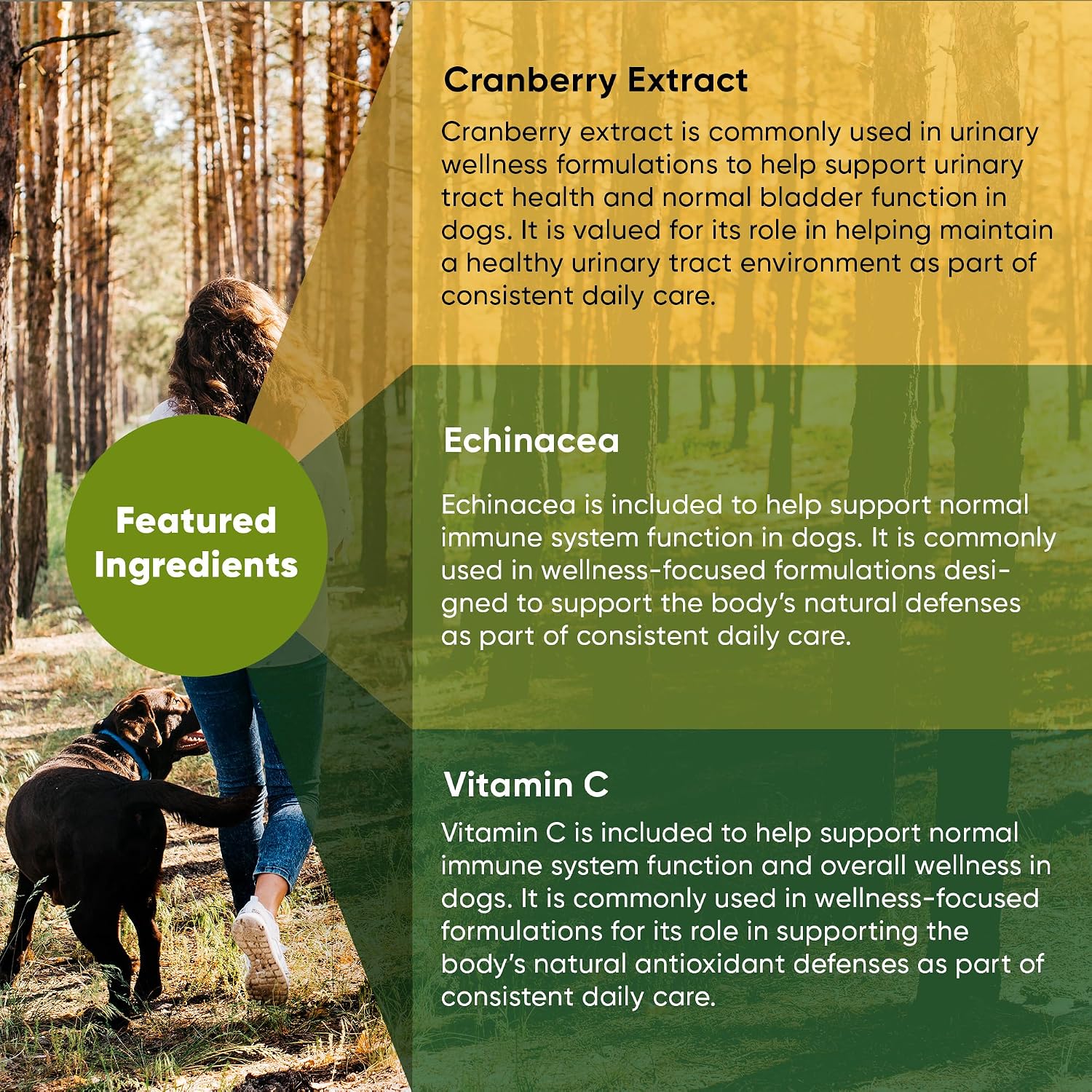 Rooted Owl Urinary Support para Perros - Suplemento con Arándano Rojo, Equinácea y Vitamina C - 60 Cápsulas