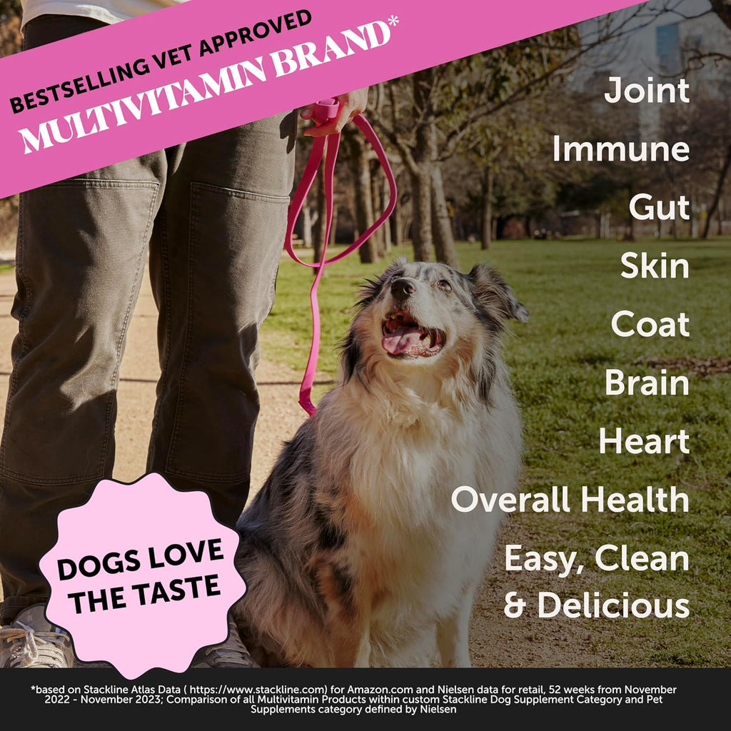 Multivitamínico Líquido para Perros con Aceite de Salmón y Caldo de Huesos - Omega 3, Glucosamina, Prebióticos y Postbióticos - 12 oz (354 ml)
