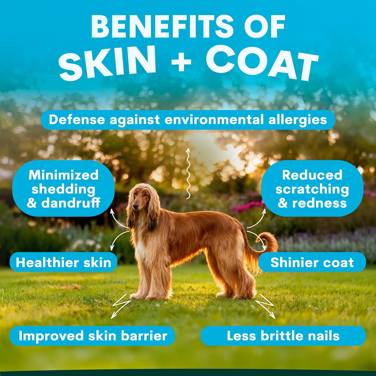 Petz Park Suplemento para Piel y Pelaje de Perro - 90 Dosis - Omega 3, Zinc y Biotina - Polvo para Perros