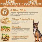 Good Guts Probiotics for Dogs – Probiótico en Polvo para Perros Medianos, 6B UFC, Enzimas y Prebióticos