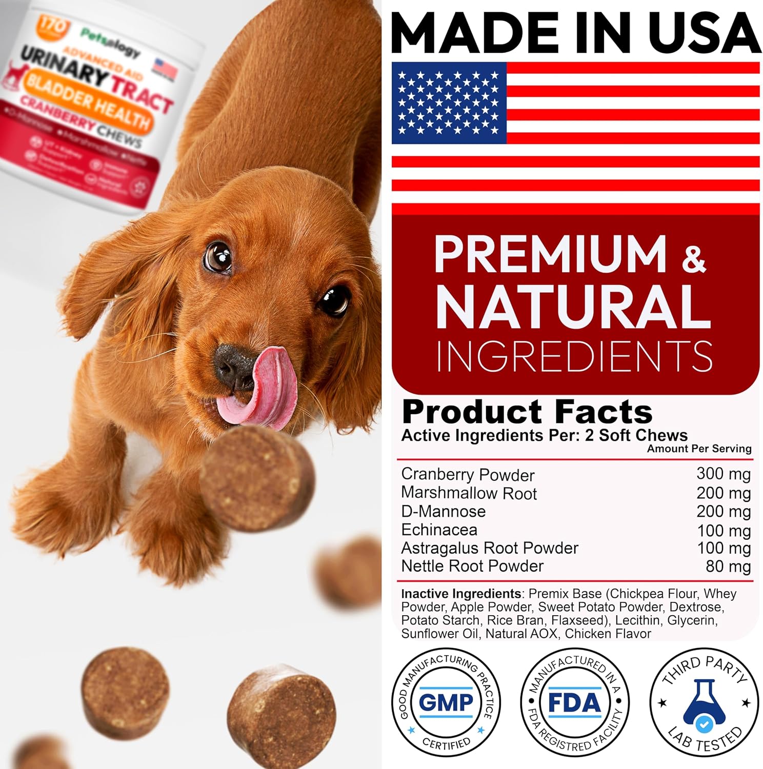 Chicles de Arándano y D-Manosa para Perros - Apoyo Urinario y Multivitamínico (170 unidades)