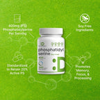 Fosfatidilserina 400mg, 240 Cápsulas – Lecitina de Girasol Sin Soja