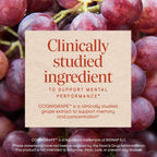 Nature's Way Brain Fuel Gummies - Gominolas para el apoyo cognitivo, con Cognigrape, vitaminas B6 y B12, sabor a uva, 60 unidades