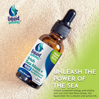 Irish Sea Moss Drops - Sabor Cítricos Bayas - 92+ Minerales y Vitaminas Esenciales - 60 ml