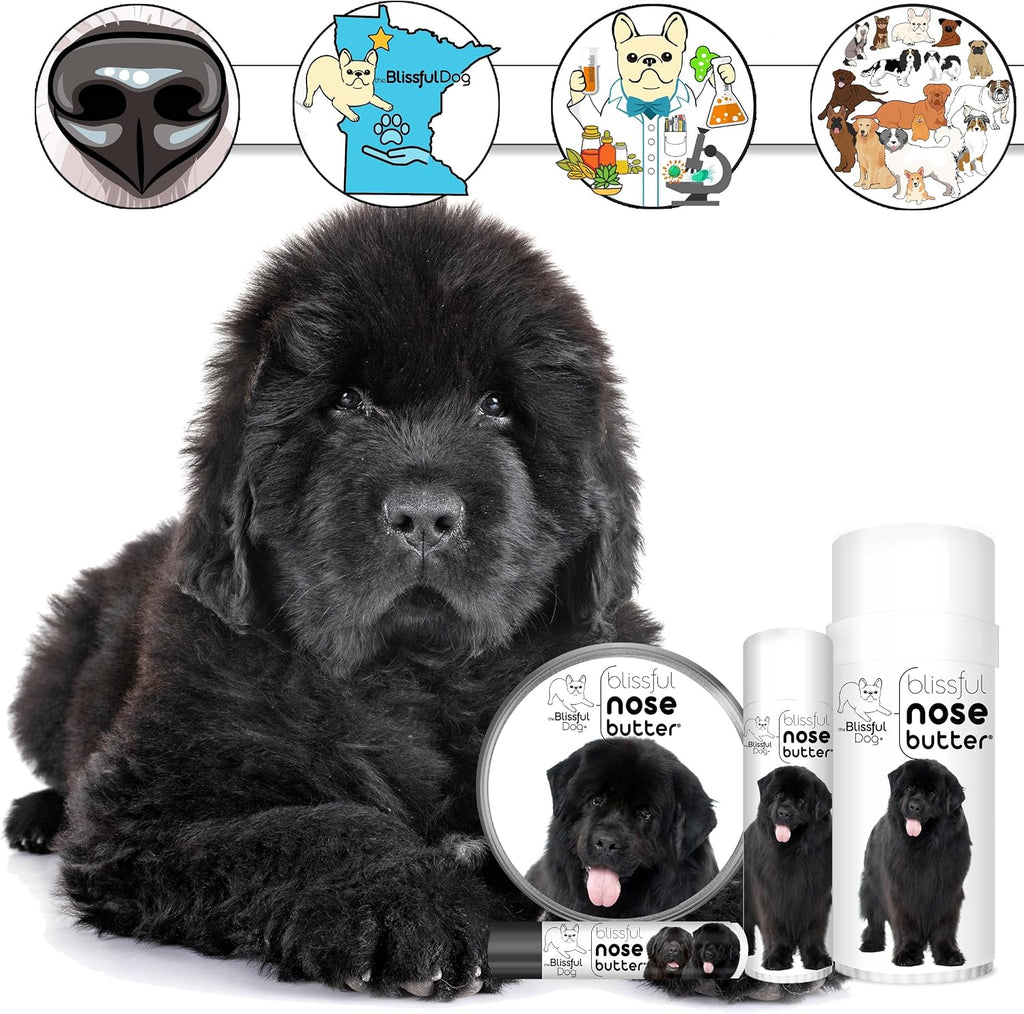 The Blissful Dog Newfoundland Unscented Nose Butter - Bálsamo para Nariz de Perro, 118 ml