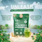 Irish Sea Moss Powder 8 Oz - con Bladderwrack y Burdock Root - Suplemento Vegano y Sin Gluten