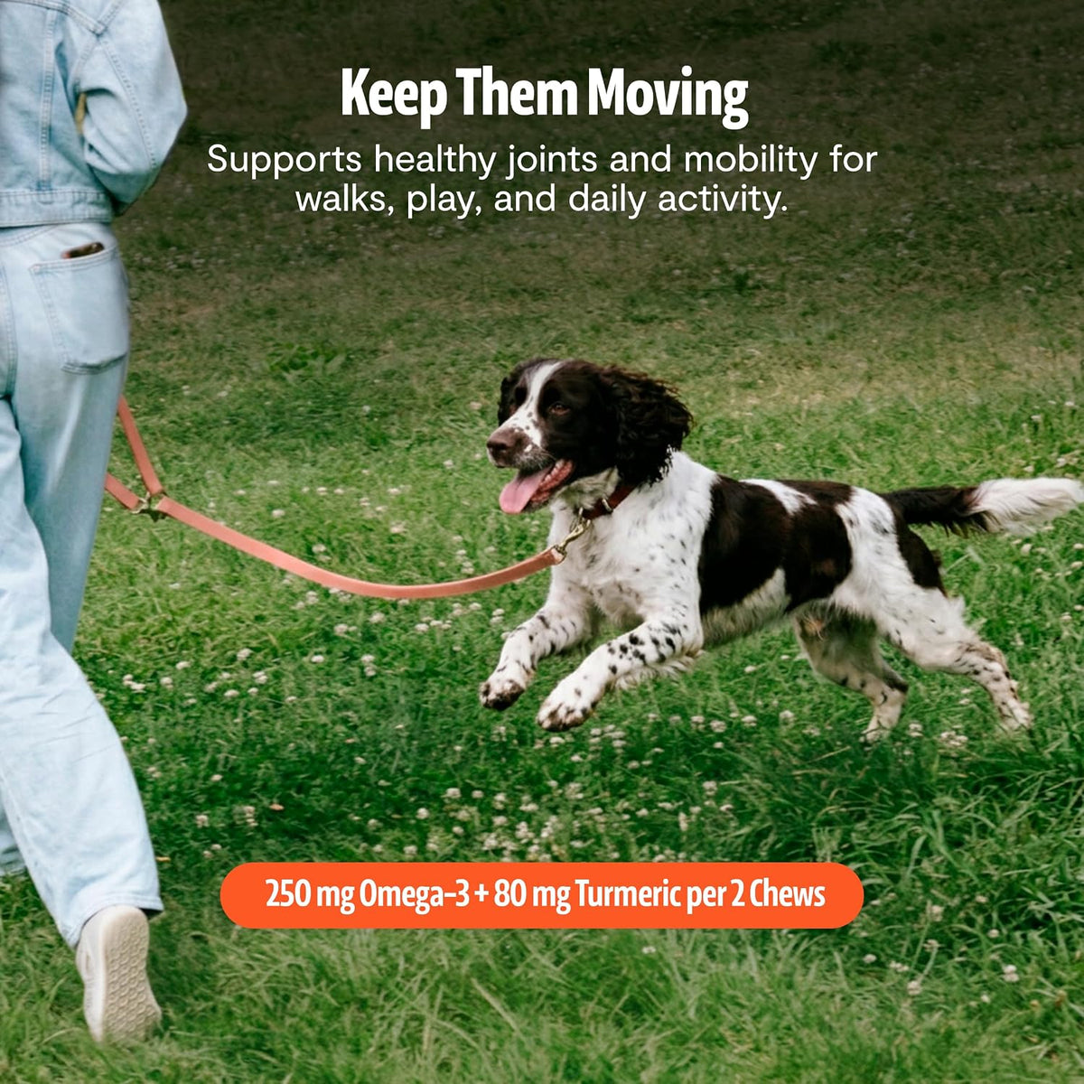 FreshCap Shroomies: Suplemento de setas para perros, 180 uds – Image 7