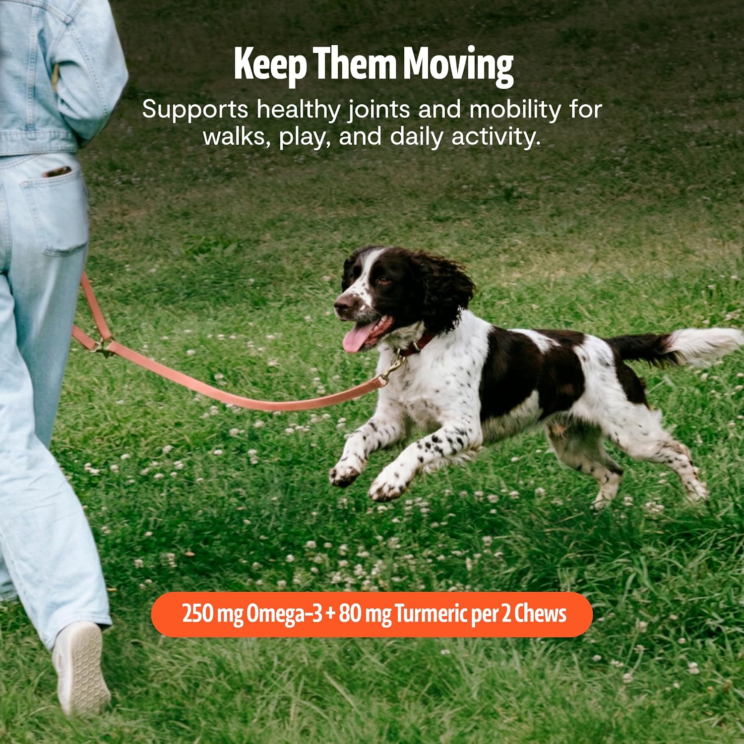 FreshCap Shroomies: Suplemento de setas para perros, 180 uds
