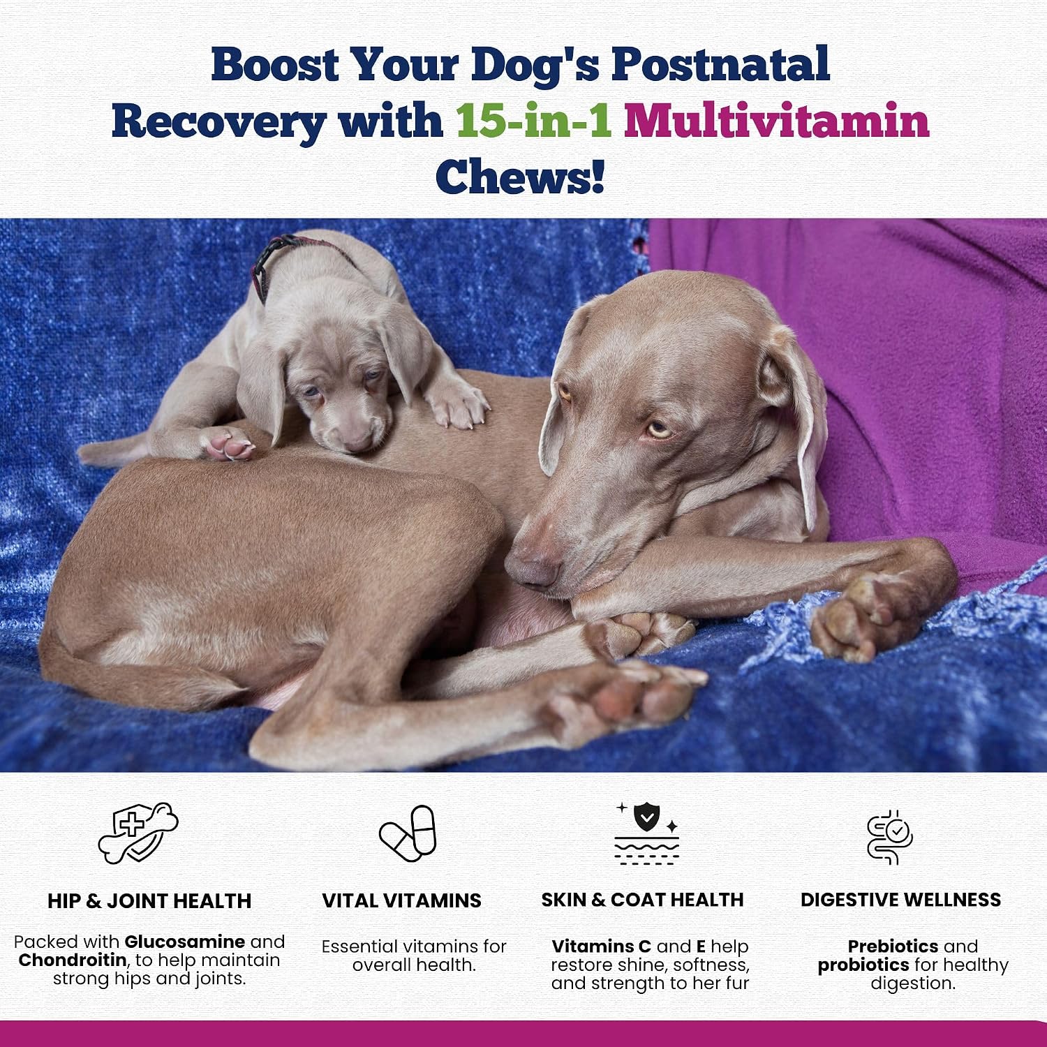 15-en-1 Multivitamínico Posparto para Perros - Recuperación, Articulaciones, Piel y Pelaje - Probióticos para Perras Lactantes - 120 Comprimidos Masticables Sabor Pollo