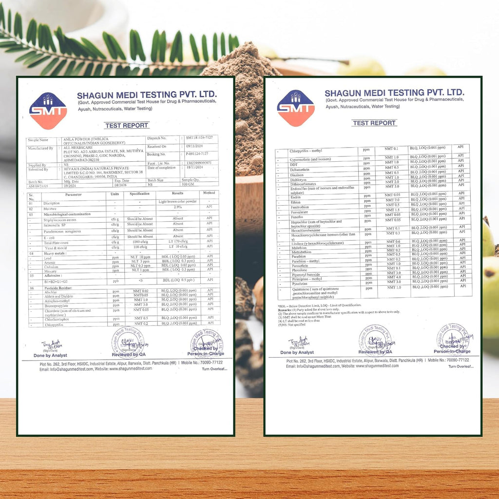 Exotic Veda Polvo de Amla Puro - 100g (100% Natural)
