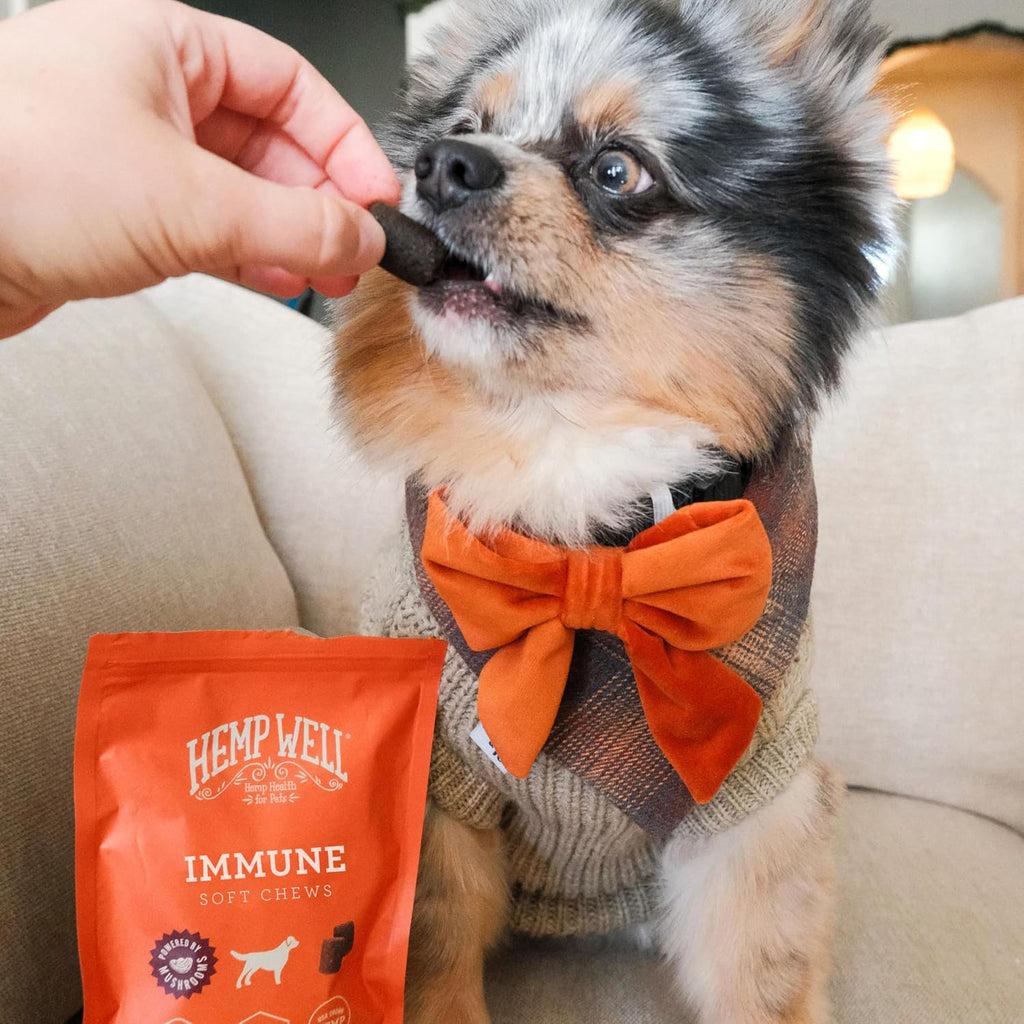 Hemp Well Snacks Blandos de Apoyo Inmunológico para Perros – Salud Intestinal (8 unidades)