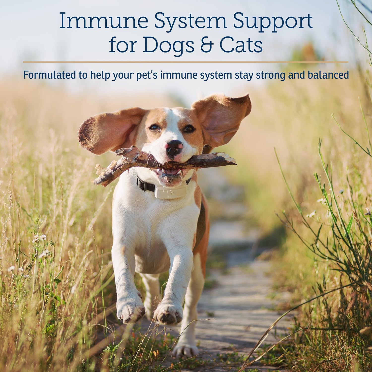Rx Vitamins CurcuWIN - Curcumin for Dogs & Cats - Vitamins and Supplements, Allergy Relief - Provides Immune Support & Aids Digestive Support - Joint Supplement - 90ct