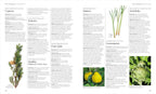 Encyclopedia of Herbal Medicine New Edition: 560 Herbs and Remedies for Common Ailments