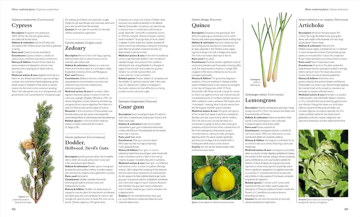 Encyclopedia of Herbal Medicine New Edition: – Explore las secciones de preparación para aprender a hacer – Image 8
