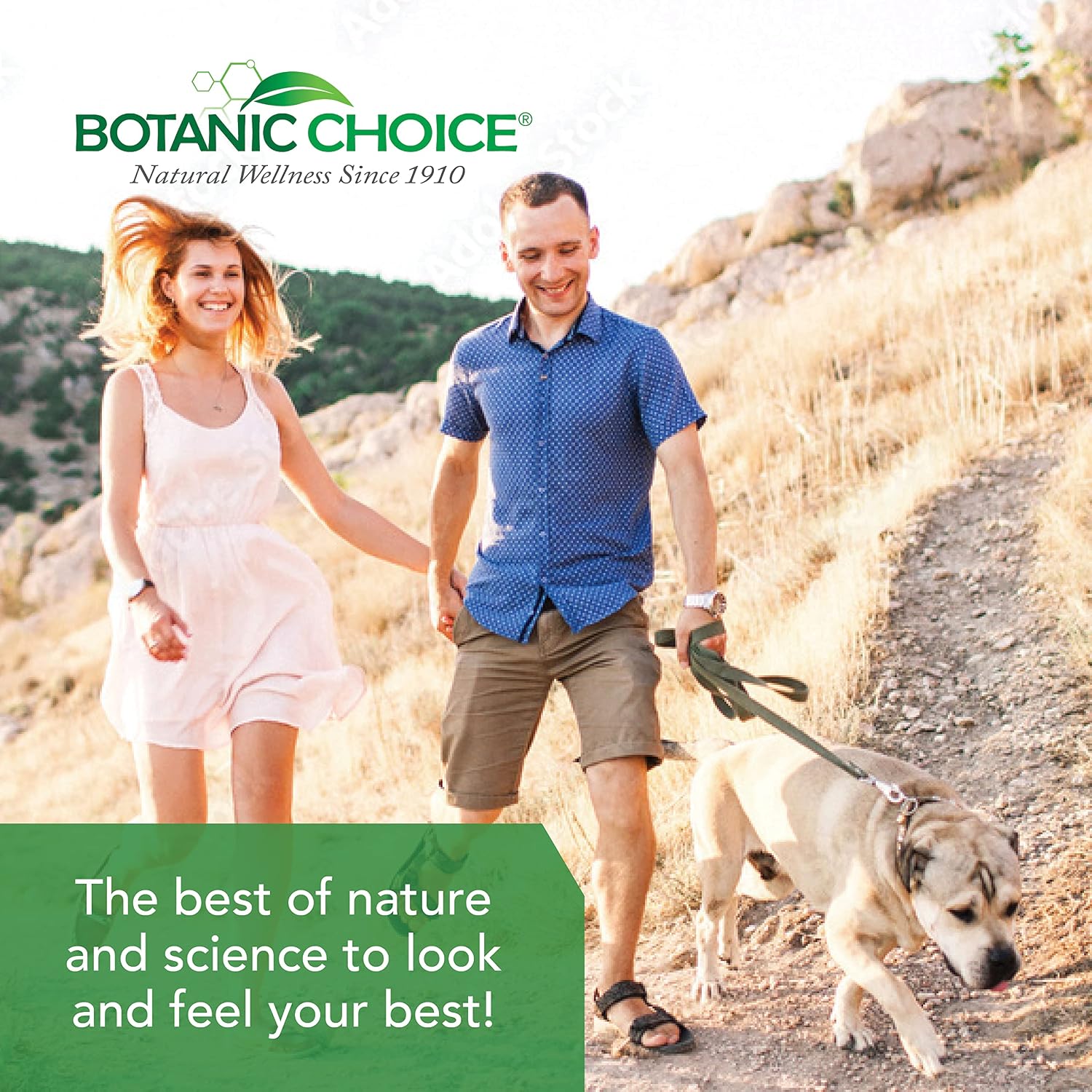 Botanic Choice Ultra Kidney Complex – Apoyo Renal con Cardo Mariano y Té Verde, 60 Cápsulas