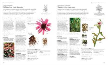 Encyclopedia of Herbal Medicine New Edition: – Índice de seguridad : Interacciones, contraindicaciones y – Image 5
