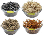 Shatavar, Safed Musli, Ashwagandha, Kaunch Beej Combo Pack - Semillas (200g, 50g cada una)