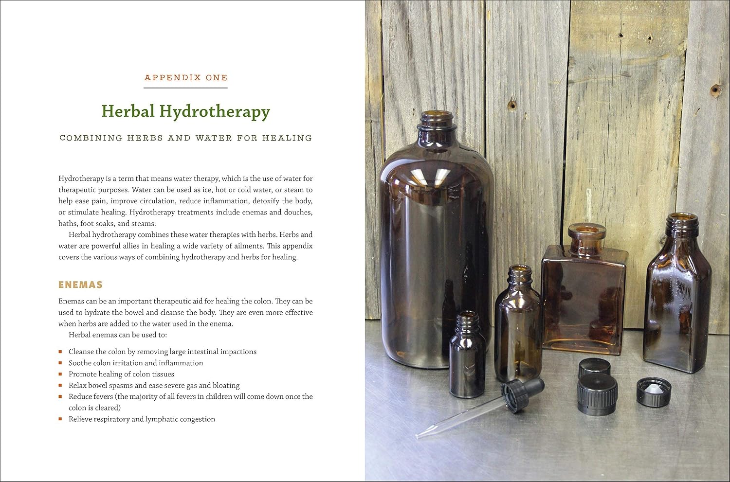 The Modern Herbal Dispensatory: A Medicine-Making Guide
