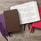 Santa Biblia KJV: Letra Grande, Columna Única, Referencias Cruzadas, Piel Genuina Marrón