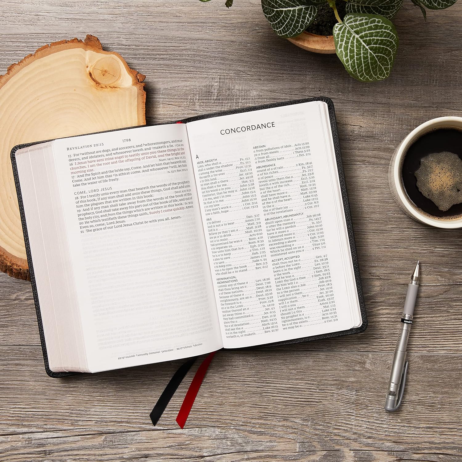 Santa Biblia KJV: Letra Grande, Columna Única, Referencias Cruzadas, Piel Genuina Marrón