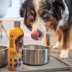 Shed-X Complemento Líquido para Perros 473ml (16oz) – Control de Muda y Salud del Pelaje