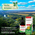 Fito Medic's Dandelion Tincture - Tintura Vegana de Diente de León Sin Alcohol