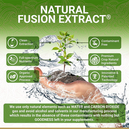 True Veda Cápsulas de Amla Orgánico - – Contribuye a la protección de las células frente al daño oxidativo. – Image 2
