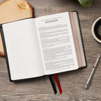 KJV Holy Bible: Large Print, One Column, 43,000 Cross-References, Pink Softcover, Personal Size, Red Letter, Comfort Print