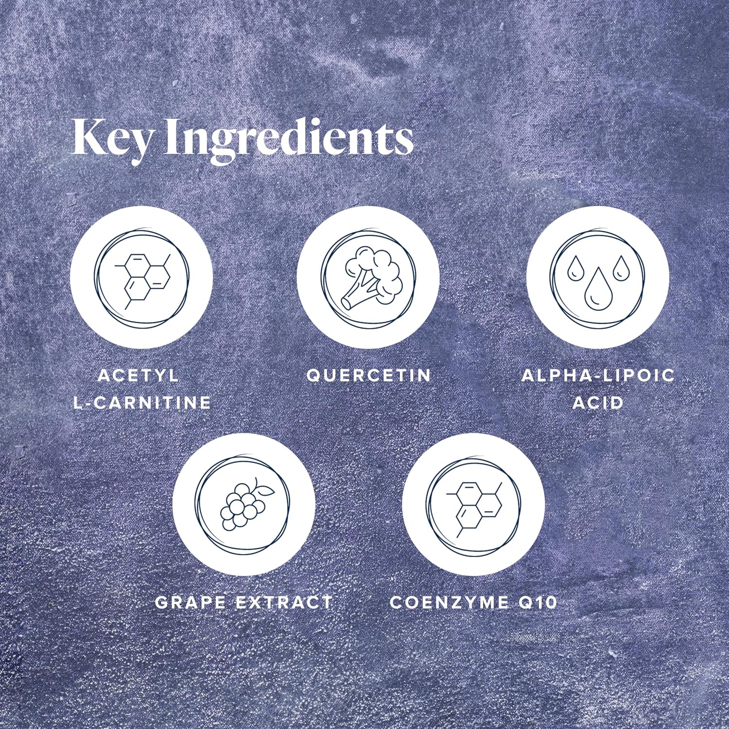 LifeVantage Protandim NRF1 Synergizer, Activador NRF1 para la Salud Celular, Producción de ATP, Suplemento Mitocondrial para Energía y Vitalidad, 60 Cápsulas
